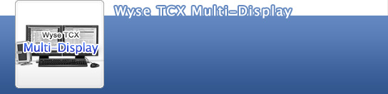 Wyse TCX Multi-Display