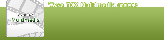 Wyse TCX Multimedia